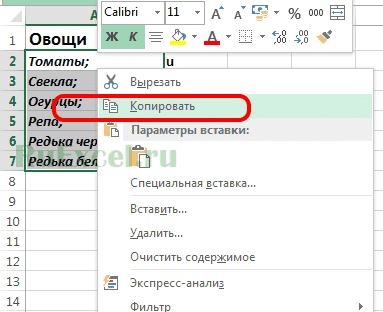 Скопируйте овощи для транспозиции