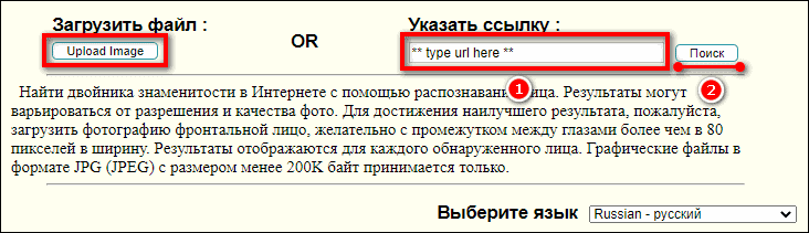Как найти своего двойника по фото: 6 бесплатных способов онлайн поиска