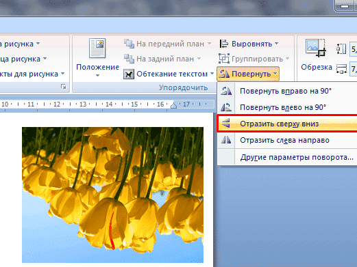 На что это похоже
